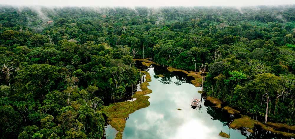 bosque nublado amazonas