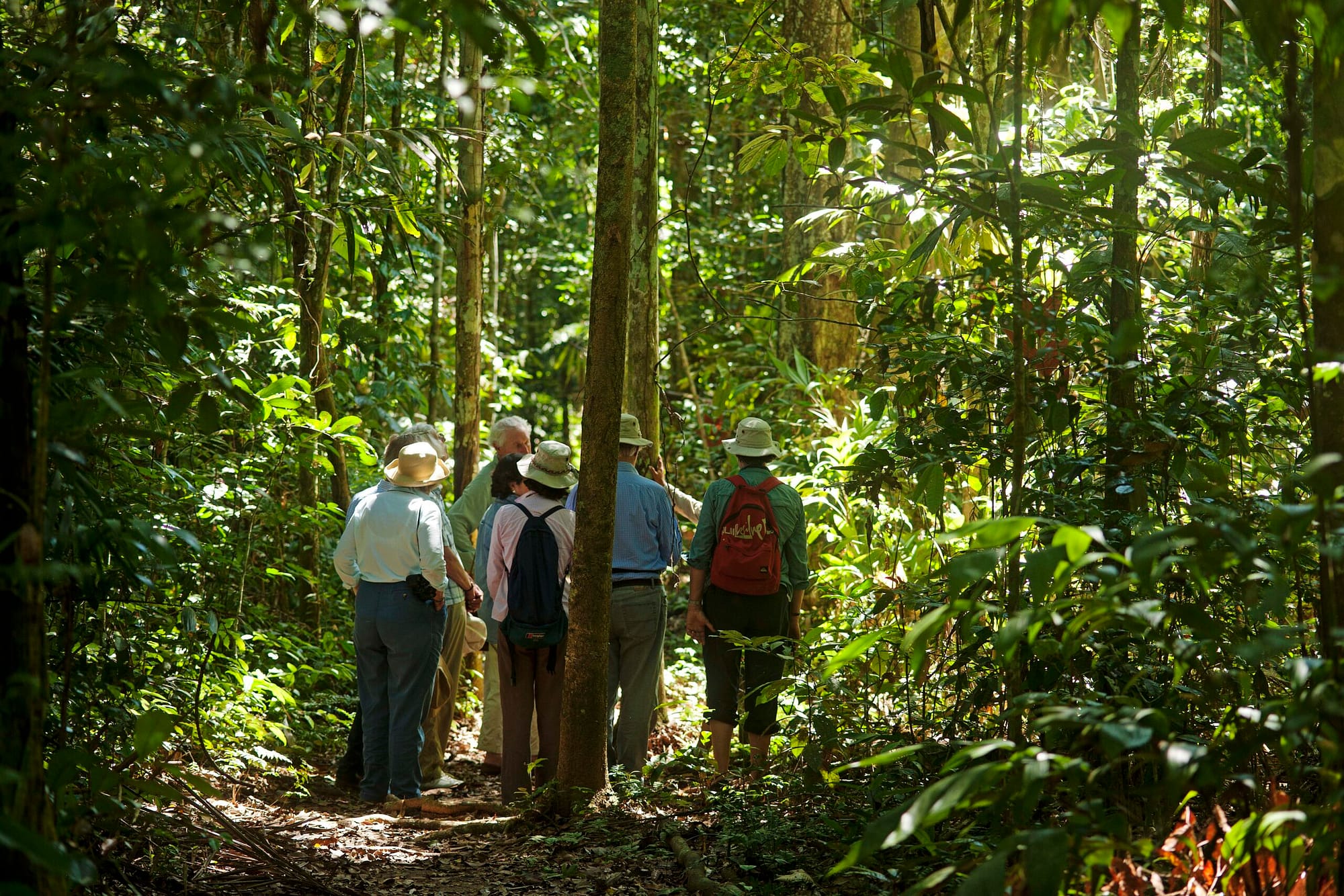 Biodiversidad de la Reserva Nacional Tambopata - Inkaterra